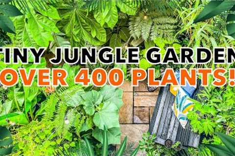 Small U.K. Jungle Garden Design Tips &amp; Plant Ideas with Simon Mabury