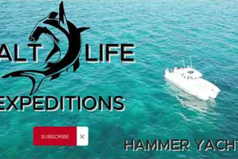 Island Hopping in Style: HammerCat 35 Florida to Bahamas