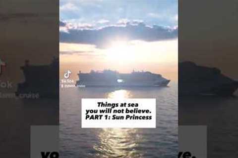 Things at sea you won't believe Pt1: Sun Princess #cruise #princesscruises #planetcruise