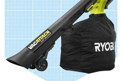 7 Best Leaf Vacuums to Maintain a Clean Lawn this Fall