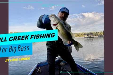 Fall Creek Fishing For Big Bass At Lake Lanier #lakelanierfishing2023  #bassfishing