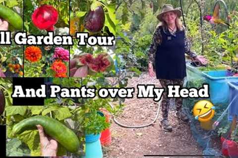 Fall Garden Tour Still Growing Zucchini Tomatoes Cucumbers Herbs in Container Gardening
