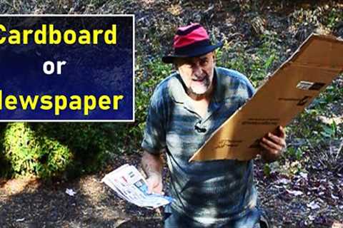 Cardboard vs Newspaper for Sheet Mulching and Lasagna Gardening?