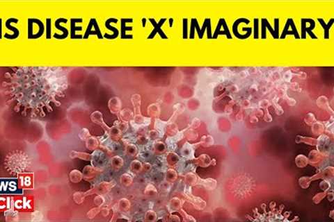 Disease X News | World Health Organisation Dubbed A New Pandemic Disease X | English News | N18V