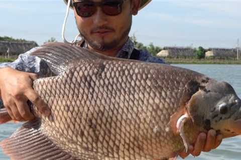 CATCHING UNIQUE THAI FISH | Catch and Cook Thai Style Tilapia