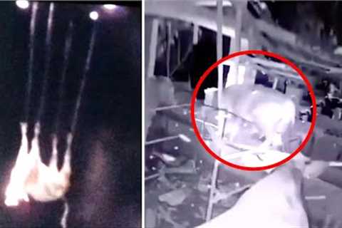 This Farmer Noticed This On His Trail Camera But Couldn't Explain What It Had Captured