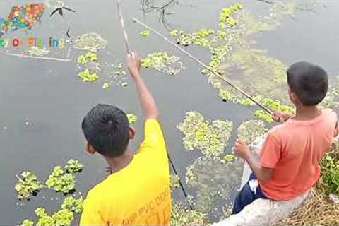 Tiny Fish Caught by Hook / Roadside Lake Fishing / Kids Fishing BD - Beauty of Fishing-03