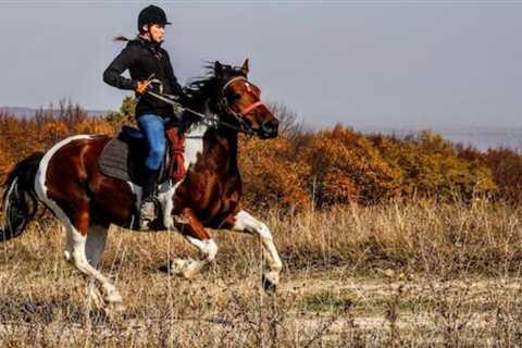 How to Prepare For a Horseback-Riding Vacation
