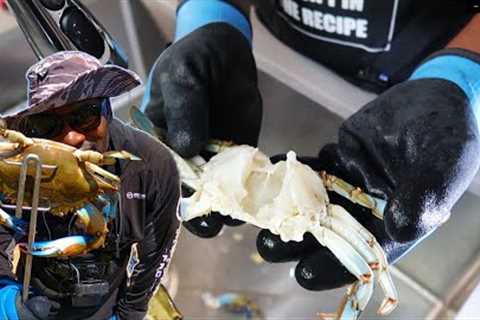 Catching UNBELIEVABLE GIANT Blue Crabs from a PUBLIC Boat Ramp | Catch, Clean, &amp; Cook