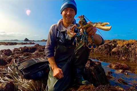 Big Lobsters on Extremely Low Tide ! Catch Clean Cook ! Coastal Foraging
