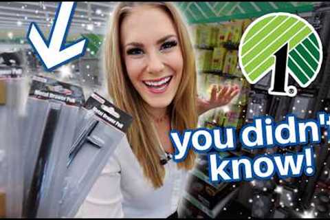 Dollar Tree JACKPOTS that BEAT HOME DEPOT!  (not clickbait!)