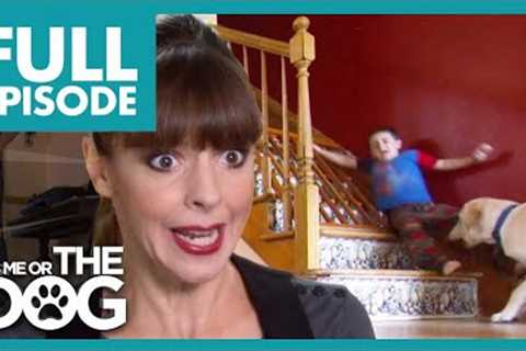 Dangerous Dog  Causes Trouble and Attacks Kids!😱 | Full Episode | It's Me or The Dog