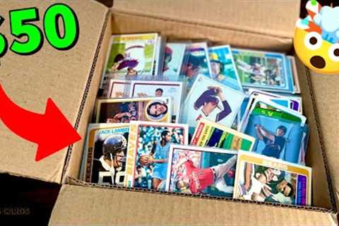 $50 VINTAGE SPORTS CARDS COLLECTION FROM HIBID…IS IT WORTH IT?!