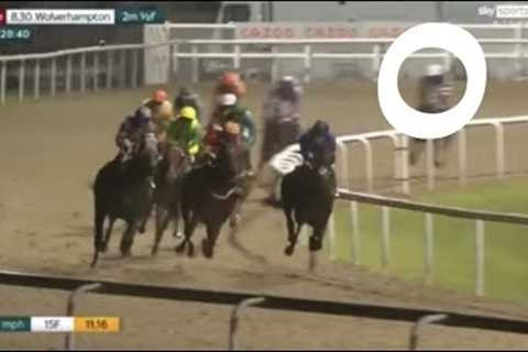 Horse with character! Bird For Life misses the break by miles but still wins!