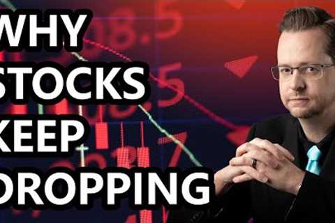 Why Did the Stock Market Fall Today?