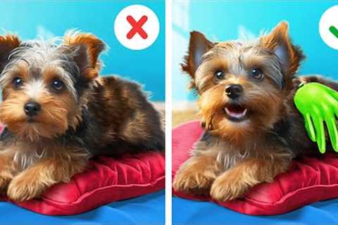 Unlocking Hidden Tips and Tricks for Pet Owners 😻🐶