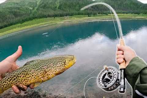 Sight Fishing for Schooling Brown Trout!
