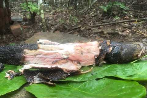 Big Fish Catching and cooking |How To Catch and Burn Big Fish in wild | bushcraft survival