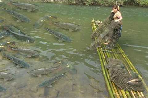 Harvesting fish - Cast net catch a lot of fish, Survival skills, free bushcraft