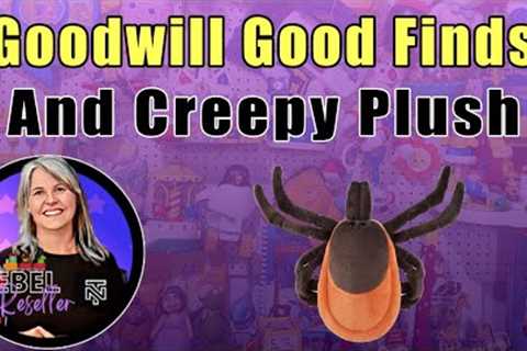 Shopping At Goodwill To Flip Online For A Profit - Full Time Reselling