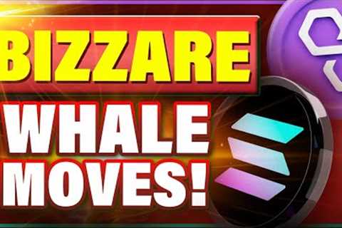 BIZZARE Move of Giant Polygon MATIC WHALE! Time to Buy Solana SOL?