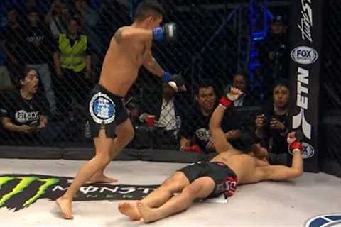 Fencing Response knockouts in MMA - Part 2 (brutal)