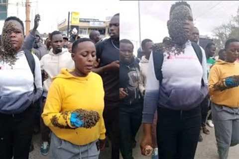 Kitengela Women Attacked by Bees For Stealing Exposed For Lying To Kenyans! Watch How They Did It
