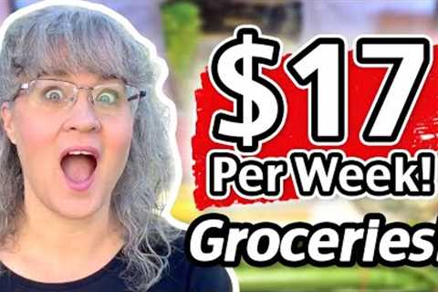 LIVE!  $17 Weekly Grocery Haul for 2 Adults And Meal Ideas | Grocery Budget Audit