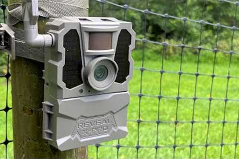 Review: Tactacam Reveal X Pro - What's NOT in the manual!