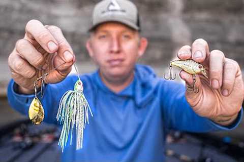 Throw THESE Lures For October Fishing Success!