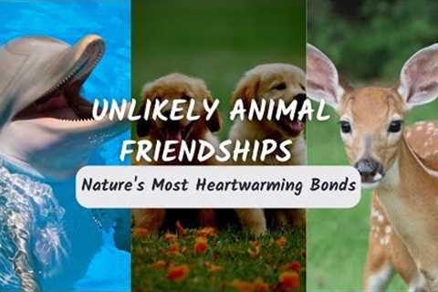 Unlikely Animal Friendships: Nature's Most Heartwarming Bonds