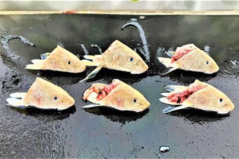 This is WHAT HAPPENS when you use CUT BAIT SURF FISHING ***UNDERWATER VIDEO***