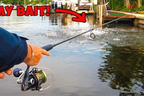 7 Days Following the World’s Craziest Fish Migration! (Catch &amp; Cook)