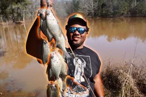CRAPPIE FISHING CATCH CLEAN COOK  FISH FRY! FROM THE BANK