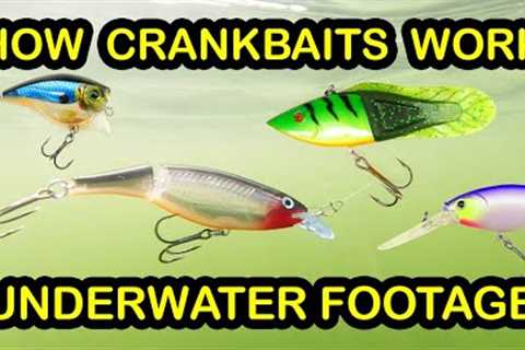 How To Fish Crankbaits and Types of Crankbaits - Underwater Fishing Lures &amp; Crankbait Tips