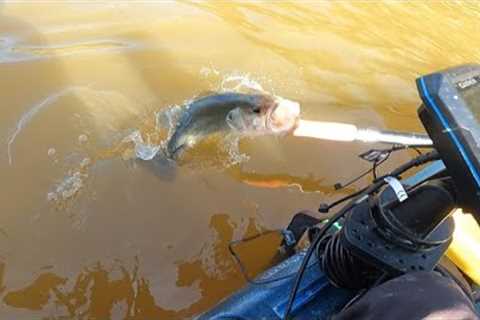 Fall Fishing with Friends  (Lake Hodges)