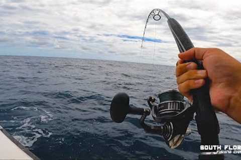 Catching live bait &amp; Fishing in Key Largo