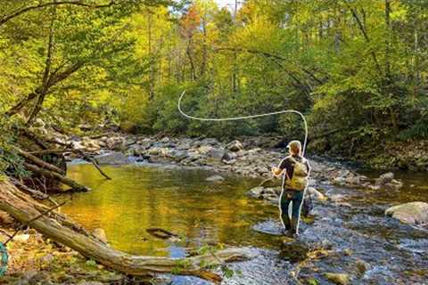 Fly Fishing for a Trout you have to see to believe!! (Fall Trout Fishing)