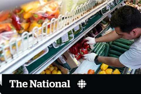 Grocery price freezes, discounts coming soon, government says
