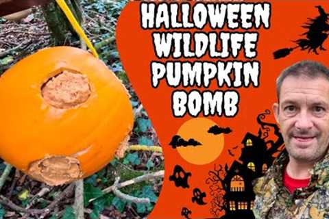 Making A Halloween Pumpkin Bomb &amp; Wildville Party Aftermath