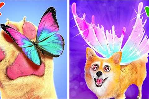 We Bought WINGS For The Dog 😱 * Crazy Unboxing and Amazing Cheap Gadgets*