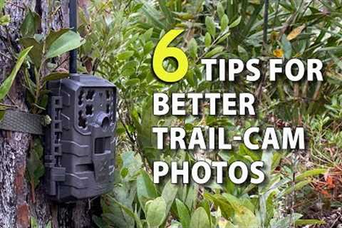 6 Tips for Trail-Camera Setup to Get More &amp; Better Deer Photos