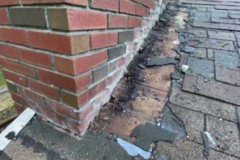 Roof leaking/rot repair