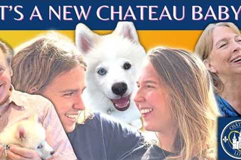 A NEW MEMBER OF THE FAMILY?! Are we READY???