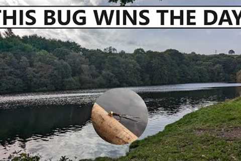 204. Fly Fishing With Bugs That 100% Catch Stillwater Trout