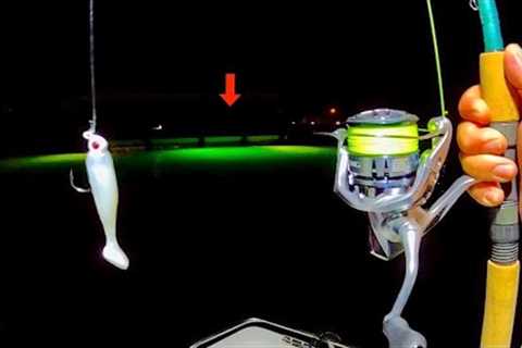 THIS is the Dock Light Fish I Wanted...[Catch, Clean, Cook]