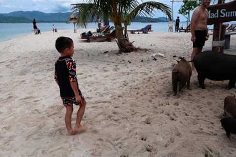 Island hopping; Traditional Thai boat with 4-cylinder car engine Pig Island, No dog Island, Surat