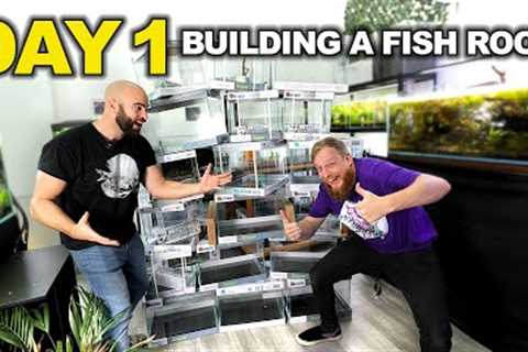 Building A NEW FISH STUDIO! (day 1)
