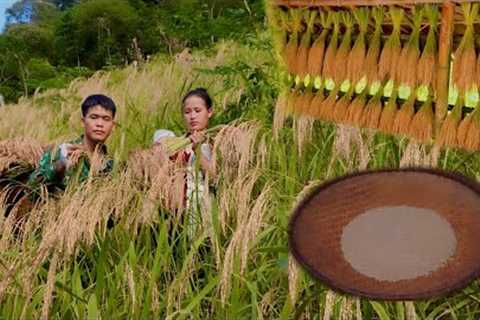 Together with his wife, he harvested ripe upland rice and worked in a mortar and pounded rice
