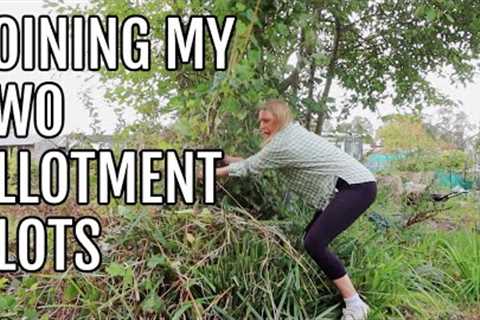 JOINING MY TWO ALLOTMENT PLOTS / ALLOTMENT GARDENING FOR BEGINNERS